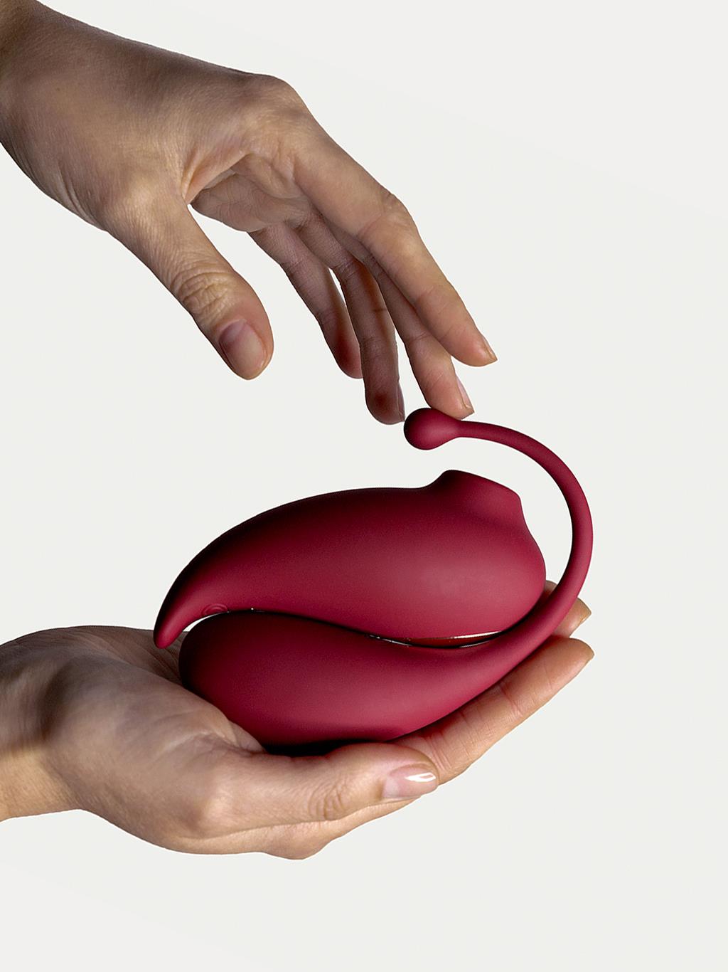 Someone holding the 2 items in their hand
